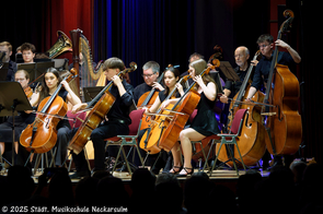 Die Cello-Bassgruppe.